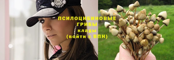 кристаллы Абинск