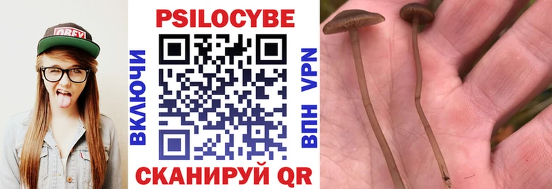 Галлюциногенные грибы Psilocybine cubensis  Остров 